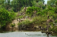Vogels van Brede Water
