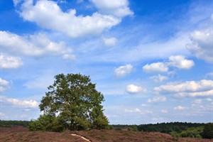 Nationaal Park Veluwezoom