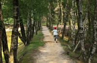 Rennen door Nationaal Park Veluwezoom