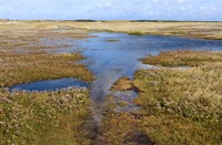 De Slufter bij hoog water