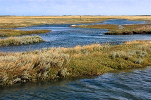 De Slufter bij hoogwater