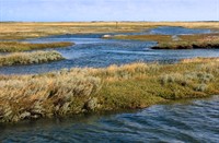 De Slufter bij hoogwater
