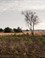 Strabrechtse heide