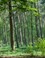 Nationaal Park Utrechtse Heuvelrug