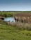 Nationaal Park Schiermonnikoog