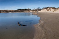 Nationaal Park Zuid-Kennemerland