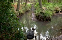 Fotograaf Lutfi in Gorp de Leij