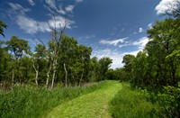 Wandelpad Naardermeer