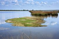 Lauwersmeer