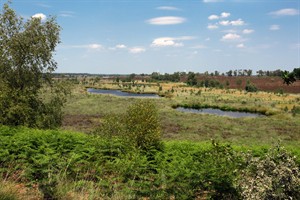 Landgoed de Hamert