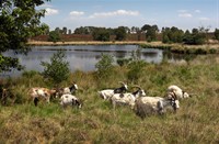 Landgoed de Hamert