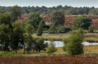 Landgoed de Hamert