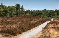 Landgoed de Hamert