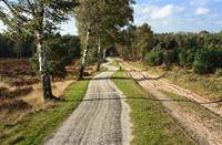 Wandelpad Sallandse Heuvelrug