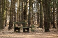 Kalmthoutse Heide