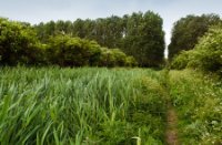 Paden van Aalkeetbuitenpolder