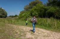 Nationaal Park De Biesbosch