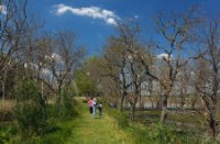Nationaal Park De Biesbosch