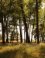 Nationaal Park De Hoge Veluwe 