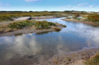 De Slufter Texel
