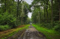 Liesbos, Liesbos