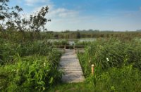 Uitzicht op De Zouweboezem