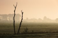 Weiland naast De Zouweboezem