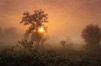 Polders langs De Zouweboezem