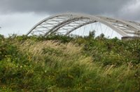 Eiland van Brienenoord