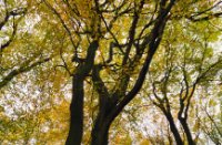 Boswachterij Speulderbos en Sprielderbos, Boswachterij Speulderbos en Sprielderbos