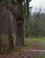 Wandelpad Meijendel