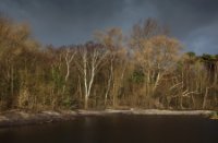 Waterbos, Duinen van Voorne