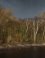 Waterbos, Duinen van Voorne