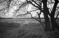 Amsterdamse Waterleidingduinen, Amsterdamse Waterleidingduinen