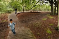 Amsterdamse Waterleidingduinen, Amsterdamse Waterleidingduinen