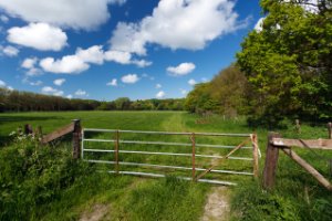 Bredewater