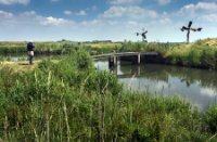 Korendijkse Slikken, Korendijkse Slikken