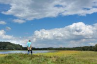 Leersumse Veld