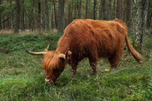 Nationaal Park Veluwezoom