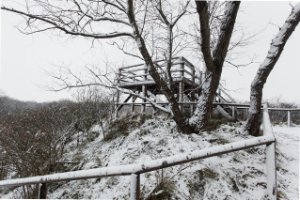 Natuurgebied Meijendel