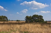 De Kempen, De Kempen