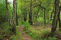 Wandelpad Mariapeel