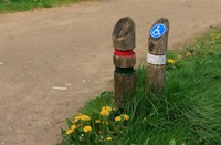 Wandelpaden van Reindersmeer
