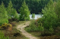 Reindersmeer