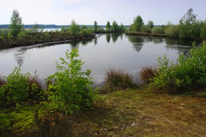 Reindersmeer