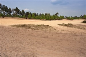 Reindersmeer