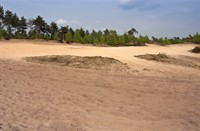 Reindersmeer