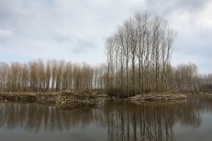 Broekpolder