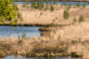 Nationaal Park De Maasduinen te Welerlooi