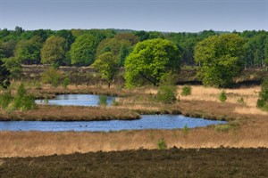 Nationaal Park De Maasduinen te Welerlooi